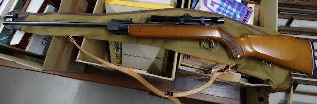 1 carabine à air comprimé avec lunette de visée