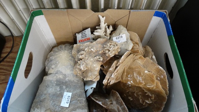1 Lot Mineralien